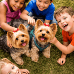 kids and yorkies